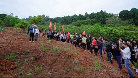 省AG真人娱乐集团开展龙泉山都会森林公园 “包山头”植树运动