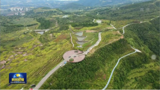 迎橄榄丰收 助墟落振兴 四川AG真人娱乐聚峰谷油橄榄工业发动金堂公园都会绿色低碳生长