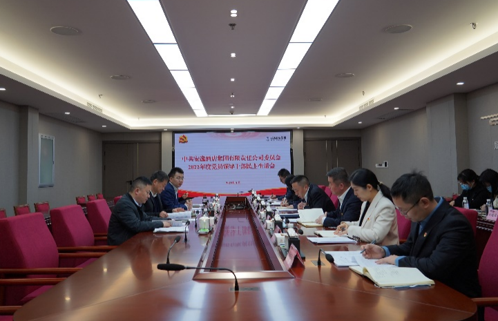 AG真人娱乐集团党委书记、董事长任丁出席逍遥旅馆集团2022年度党员向导干部民主生涯会